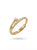 Anillo Stellar