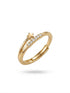 Anillo Stellar